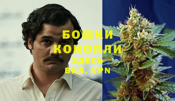 стаф Белокуриха