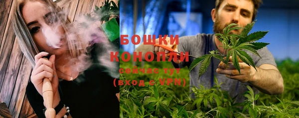 стаф Белокуриха