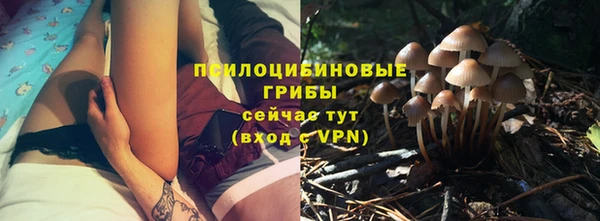 стаф Белокуриха